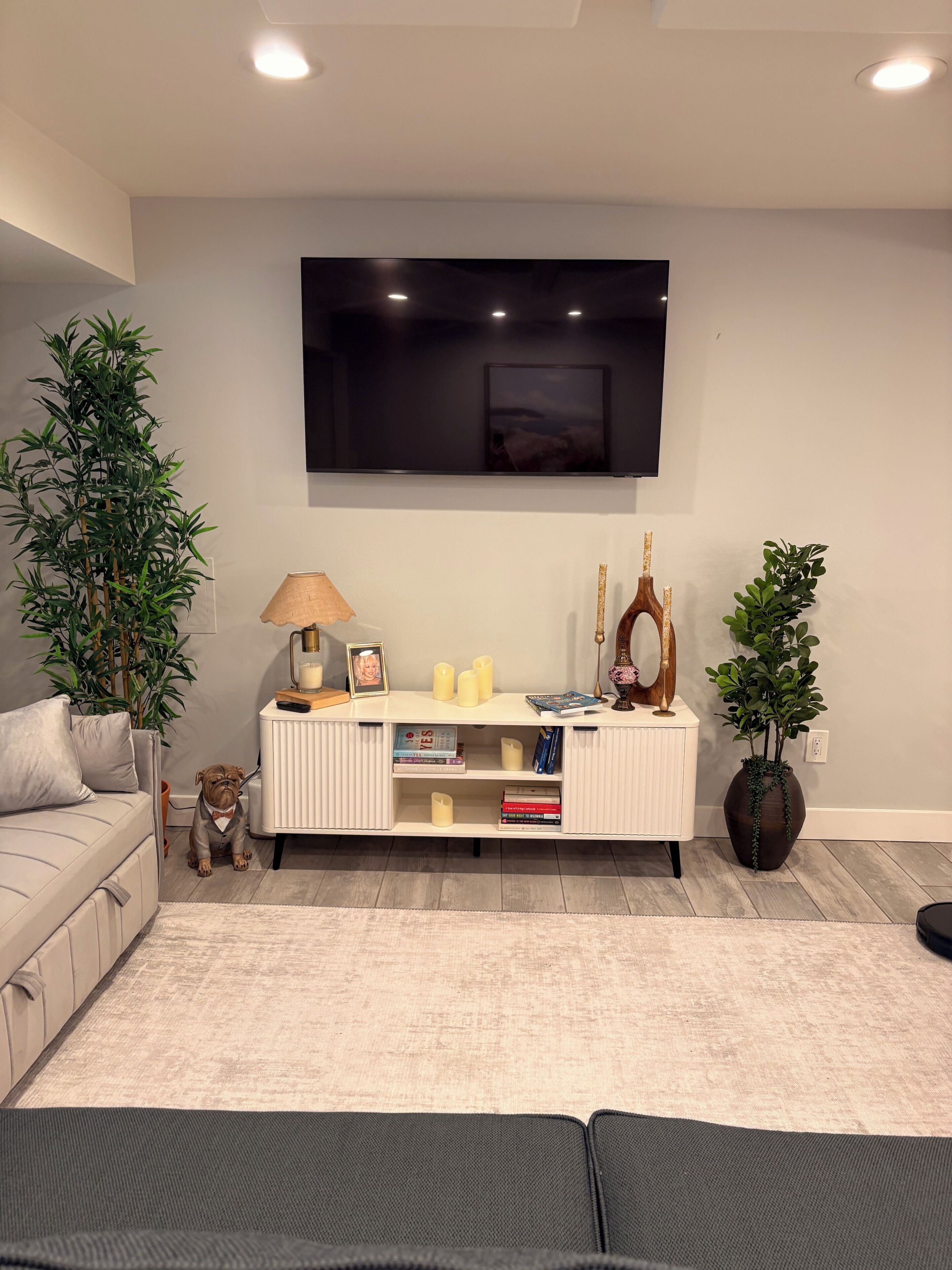 Smart TV, books