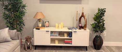 Smart TV, books