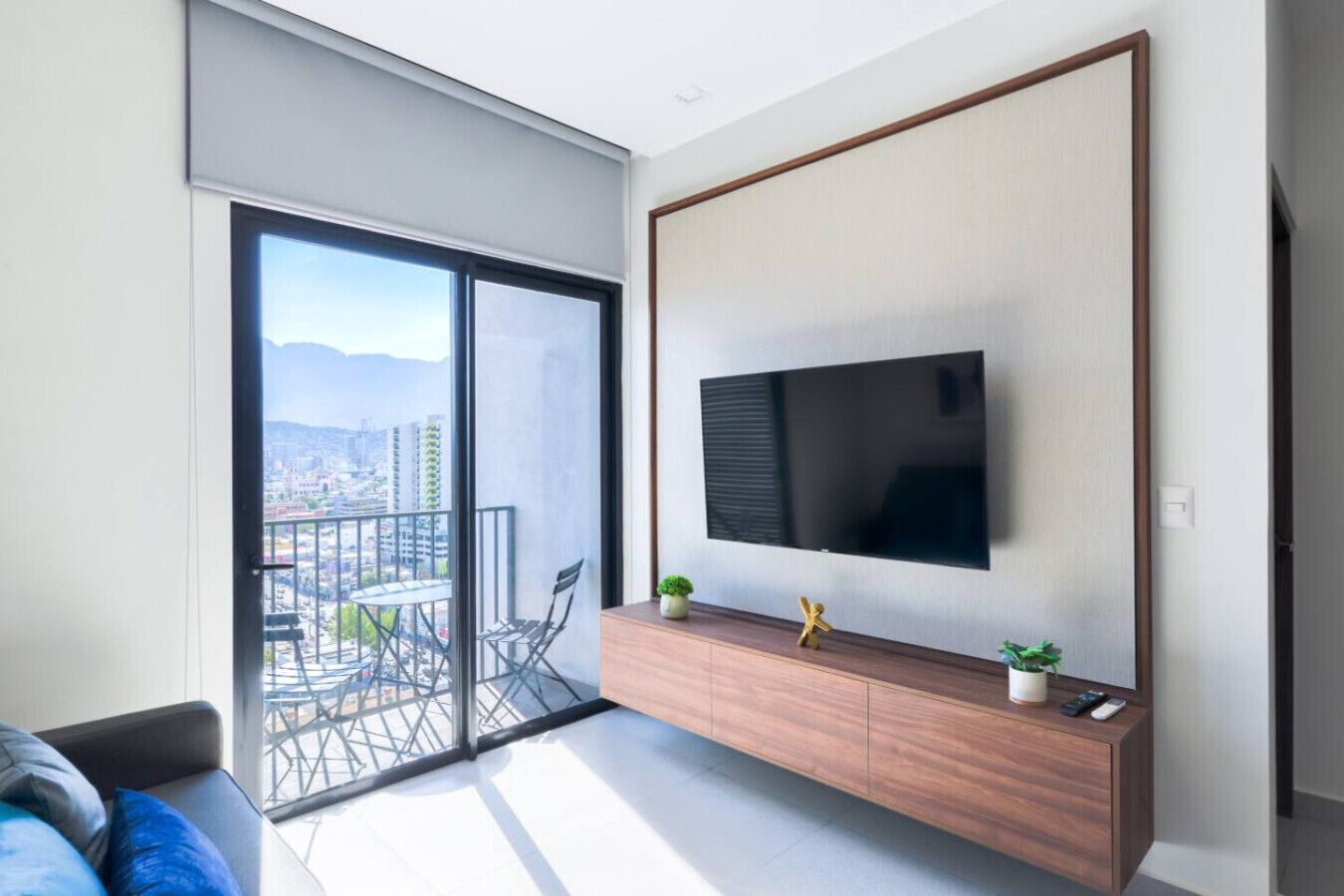 TV