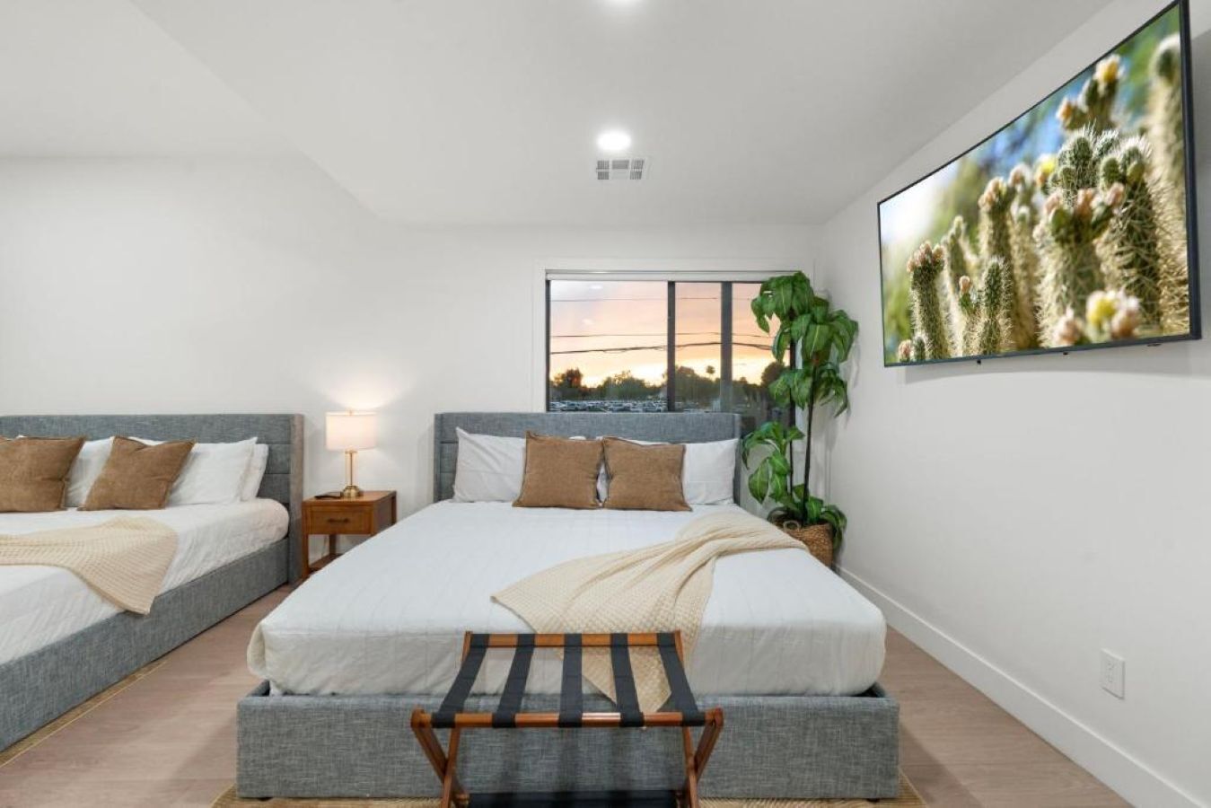 A bedroom with two beds, a window with a sunset view, a plant, and a mounted artwork.
