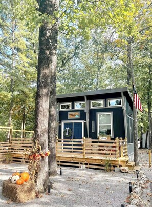 Imagem sem classificação, 4 de 14, botão