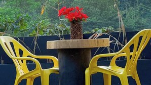 A table with chairs, a vase with red flowers, and a backdrop of trees and a hill. - Hotel Green Land Bandarban (Bandarban)