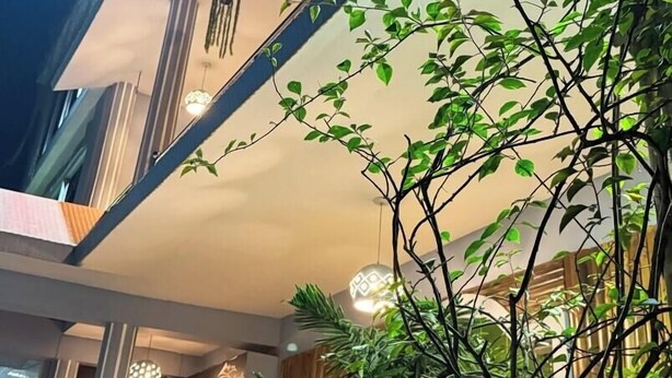 A modern building with a glass facade, interior lighting, and hanging plants. - Hotel Green Land Bandarban (Bandarban)