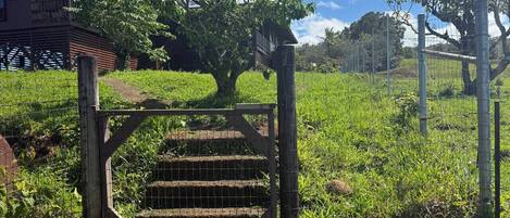 A wooden gate leading to a building with a balcony, surrounded by lush greenery and a clear sky.