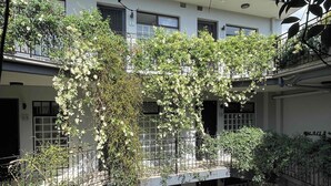 Un immeuble à plusieurs étages doté de balcons, dont certains sont recouverts de verdure.
