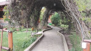 Un sentier bordé d’une arche couverte de vigne mène à un bâtiment dont le toit est recouvert de tuiles.