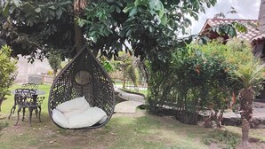 Un fauteuil suspendu avec des coussins, une petite table avec des chaises et un espace jardin agrémenté de différentes plantes et d’un sentier.
