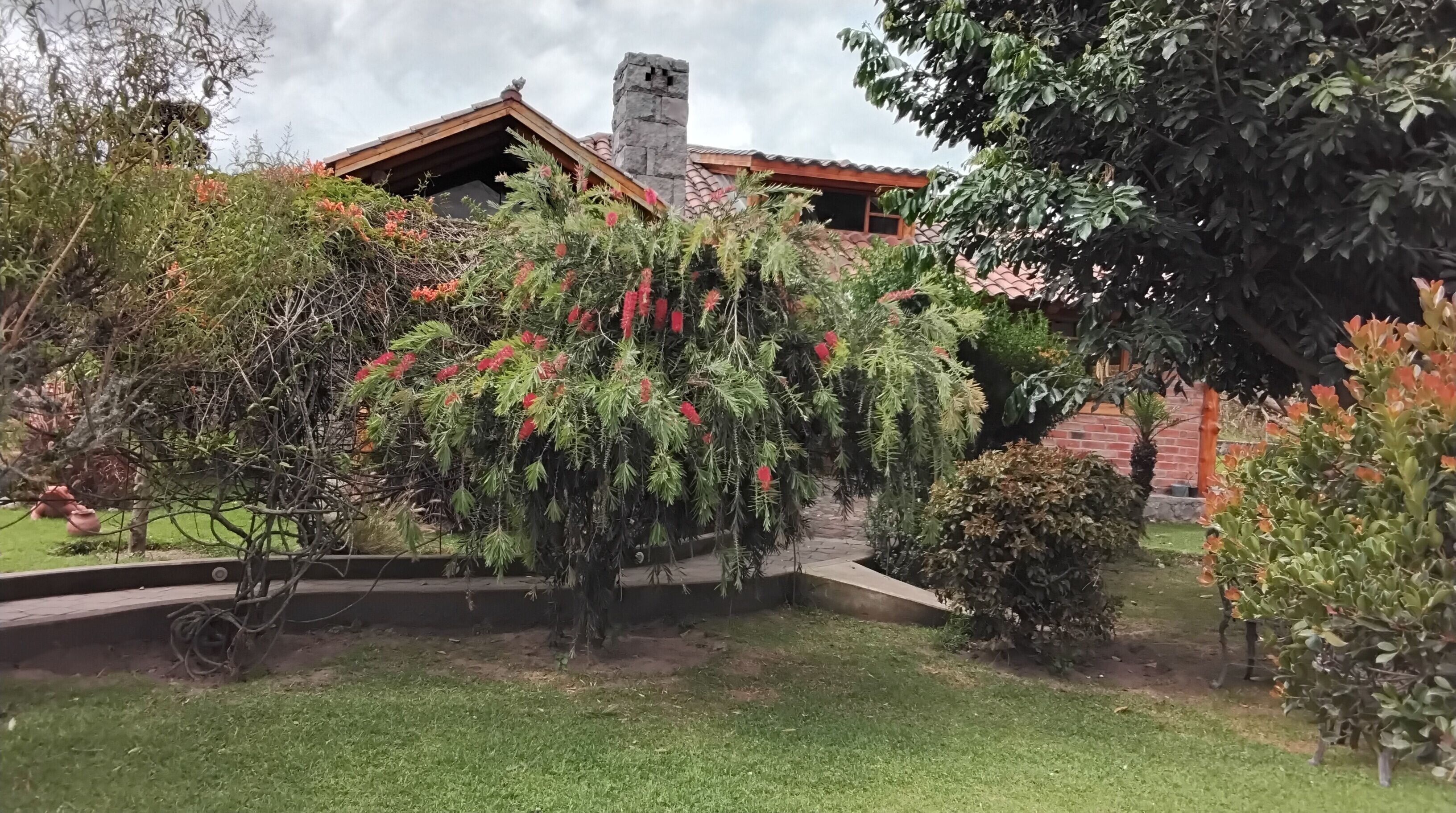 Un jardín con diversas plantas y árboles, un edificio de ladrillo con chimenea de piedra y un césped bien cuidado.