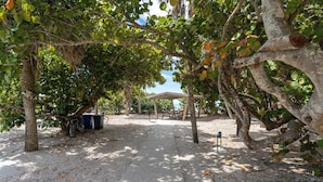 Un'area esterna riparata con un vialetto lastricato, alberi e una bicicletta parcheggiata sotto un riparo.