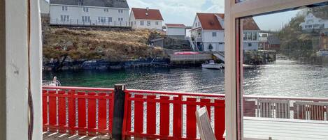 テラス / パティオ