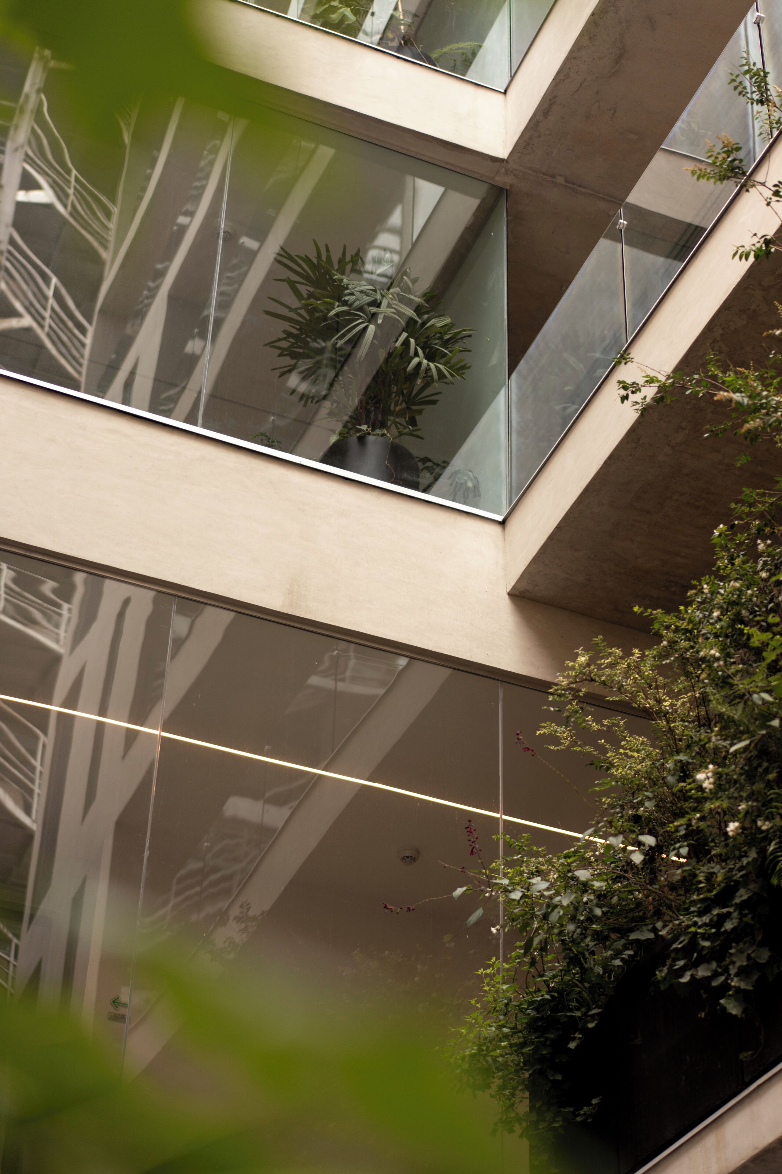 Un edificio moderno con ventanas amplias, una escalera y algo de vegetación.