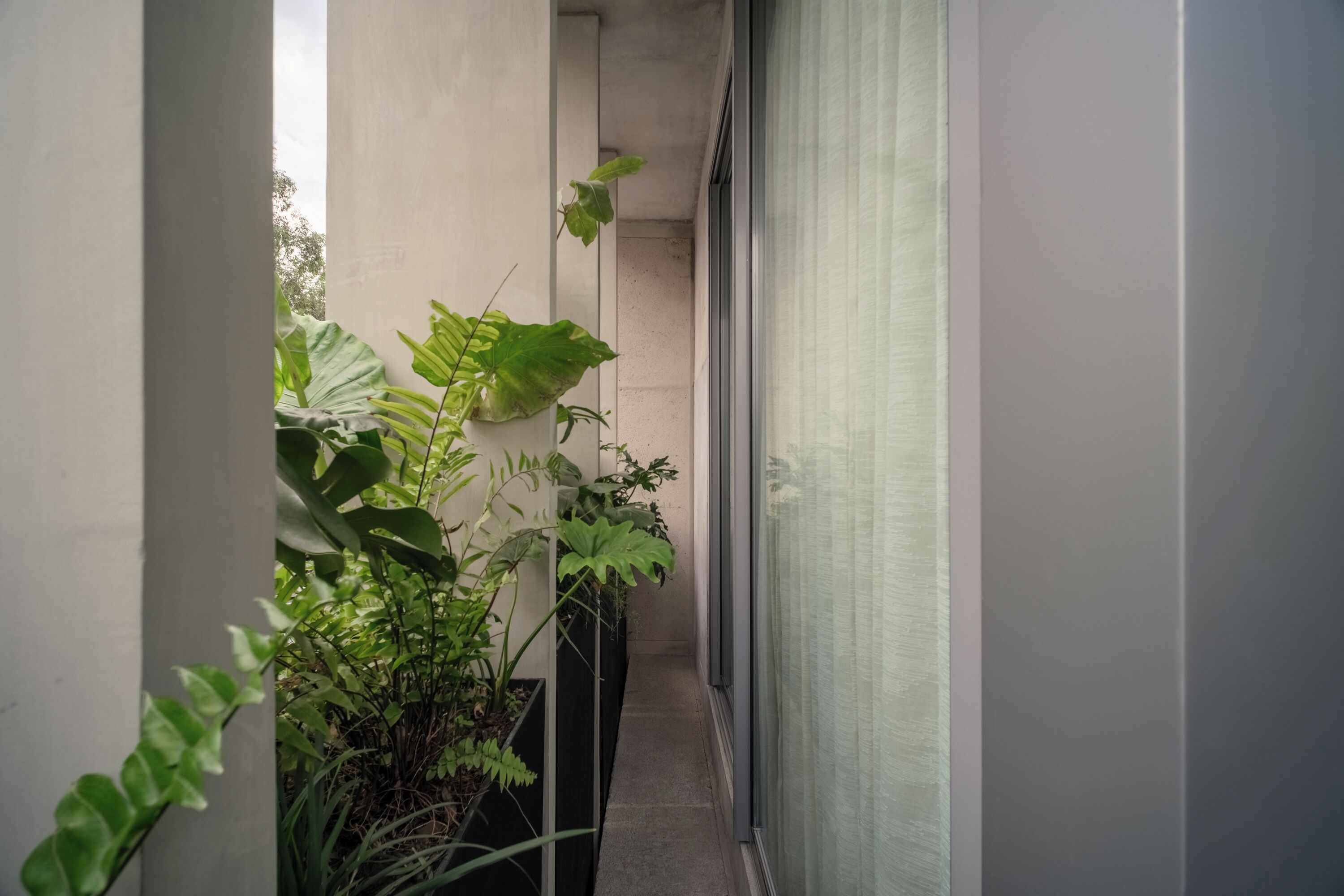 Studio – deluxe, 1 kingsize-seng, balkong | Balkong