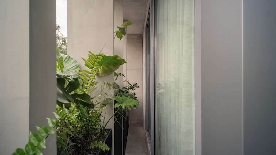 Nomu Mexico City by Lumina