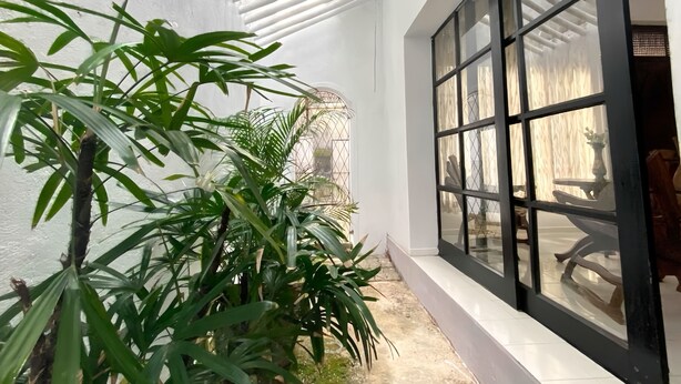 A modern interior with a white wall, a large window with black frames, and green plants.
