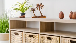 Ein Holzregal mit einem Blumentopf, einer Zierpalme und einigen Nüssen.