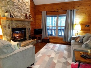 TV, fireplace, DVD player, video library