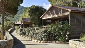 A pathway leading to a building with a sloped roof and wooden siding, surrounded by dense shrubbery and a stone wall. - Group Stay Near Sea in Propriano (Belvedere-Campomoro)