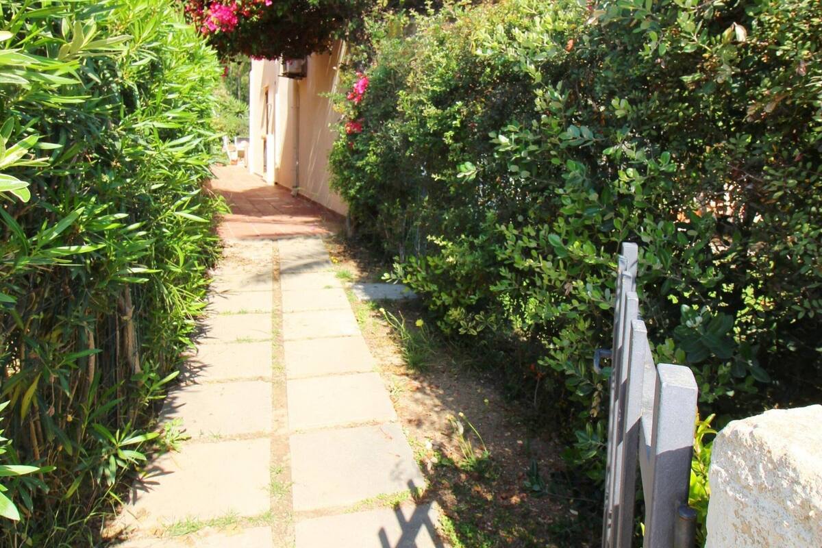 Un sendero estrecho bordeado por abundante vegetación y un edificio de fachada blanca.