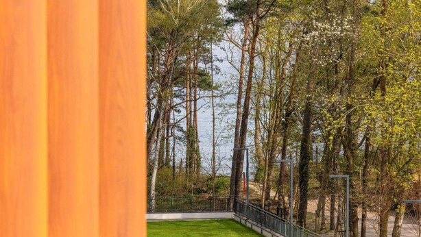 Une vue d’une zone boisée, avec de grands arbres et une étendue d’eau en arrière-plan.