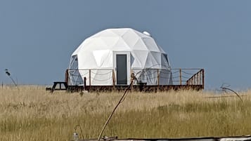 Eksteriør
