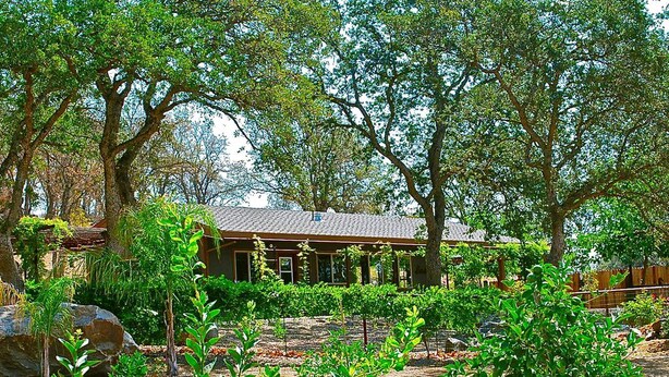 A building surrounded by trees and a garden. - Quiet Cottage Rental for Two in Horse Country near Yosemite National Park Gateway, California (Catheys Valley)