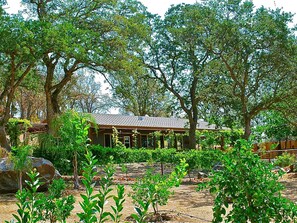 A building surrounded by trees and a garden.