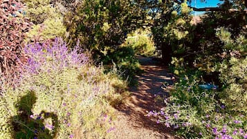 A natural outdoor setting with a gravel path, dense foliage, and purple flowers.