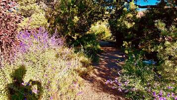 A natural outdoor setting with a gravel path, dense foliage, and purple flowers.