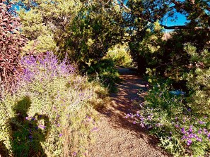 Entorno natural al aire libre con un camino de grava, follaje denso y flores púrpuras.