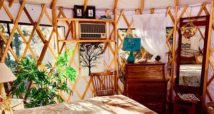Charming Yurt in the Cibola National Forest near Albuquerque, New Mexico