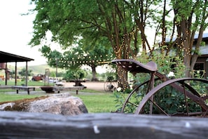 Property grounds - Charming Cabin Rental, Perfect for Glamping on a Work Farm near Paso Robles, California (San Miguel)