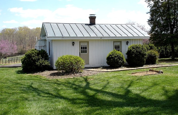 A white single-story building with a metal roof, a front door, and two small bushes.