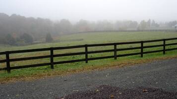 A rural road with a wooden fence, a grassy field, and a foggy background.