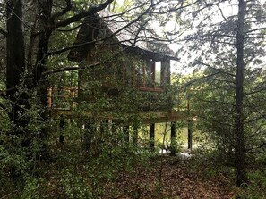 Una cabaña rústica rodeada de un bosque denso, con una terraza de madera y un ventanal grande.