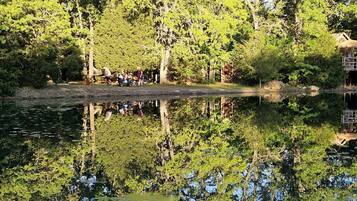 A serene lake surrounded by dense trees, a wooden dock, and a small structure on stilts.