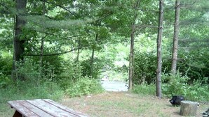 A picnic table in a wooded area with a view of a river. - Lovely Cottage Getaway in the Mountains near Phoenicia, New York (Chichester)