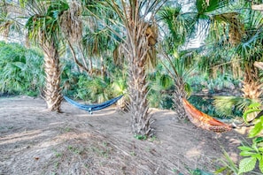 Property grounds - Upcycled Shipping Containers Transformed into a Glamping Home for a Unique Florida Vacation (Jupiter)