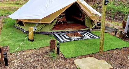 Creekside Glamping Heaven with Comfy Interior in Cosby, Tennessee