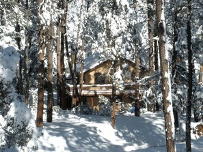A lodge surrounded by snow-covered trees.