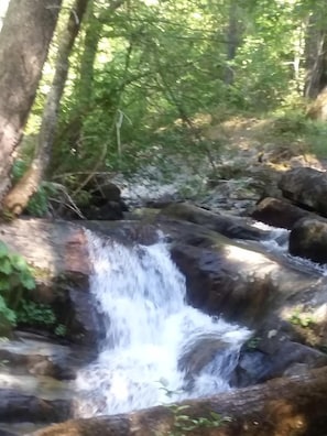 A natural waterfall surrounded by dense forest. - Charming Cabin for Sierra Nevada Getaways (Nevada City)