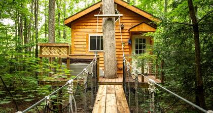 Breathtaking Tree House Rental near Charleston, West Virginia
