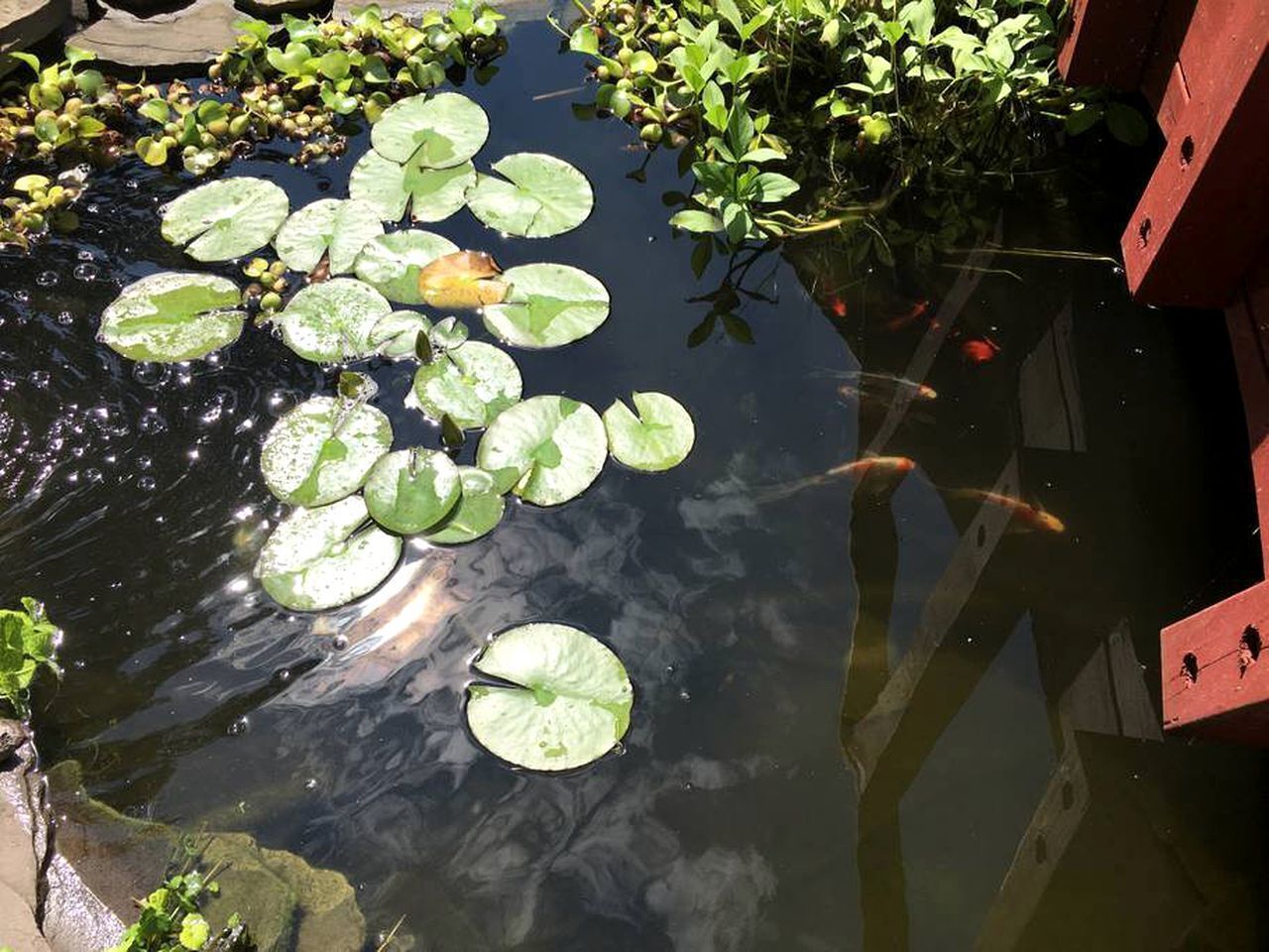 外观细节