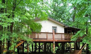 Une maison dotée d’une terrasse en bois, entourée d’une forêt dense.