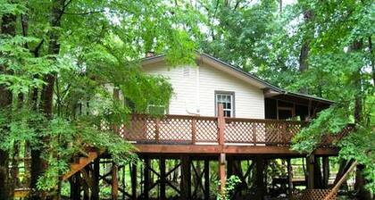 Peaceful Pet-Friendly Cabin Rental on St. Marks River near Tallahassee, Florida