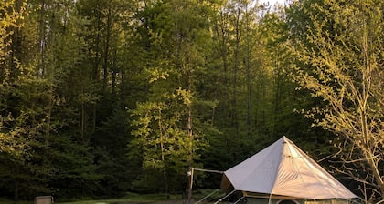 Off-Grid Creekside Tent Ideal for a Glamping Experience in Cosby, Tennessee