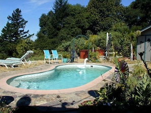 Pool - Vacation Rental with Spa and Pool on Winery near Healdsburg, California (Cloverdale)