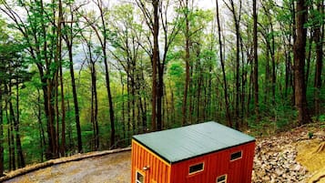 A small red cabin with a metal roof, surrounded by a forest.