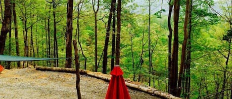 Un área boscosa con una mesa de picnic y un paraguas rojo.