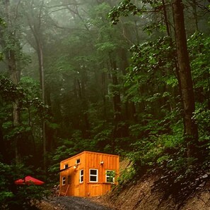 Een klein houten huisje in een bos.