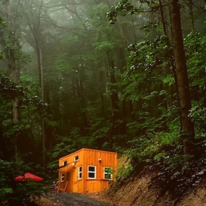 Una cabaña de madera pequeña en un bosque.